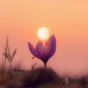 دانلود آهنگ داداﺷﻰ ﺗﻮ ﻫﺴﺘﻰ ﺗﺎج ﺳﺮم